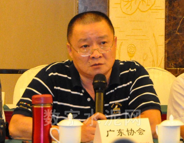 广东水泥协会常务副会长李黎